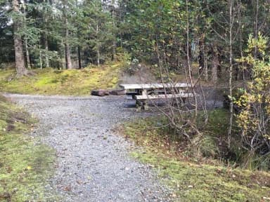 Site #1
