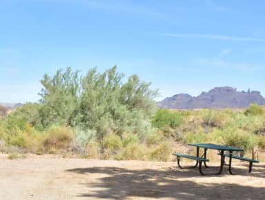 Individual Campsite