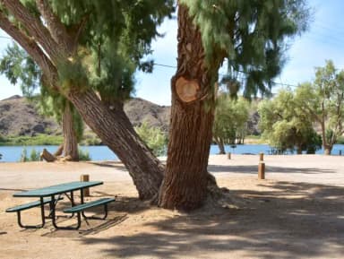 Individual Campsite