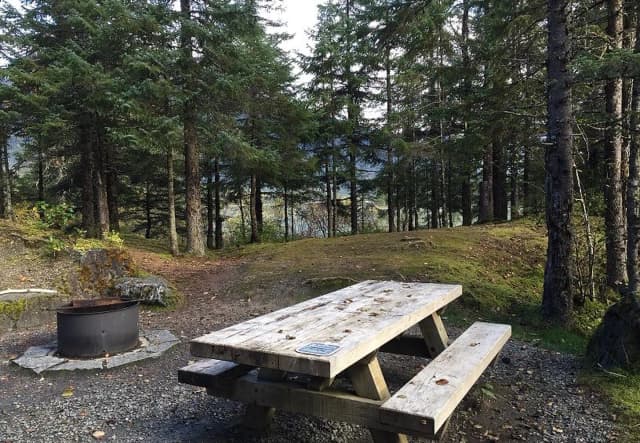 Site 001 at Mendenhall Campground