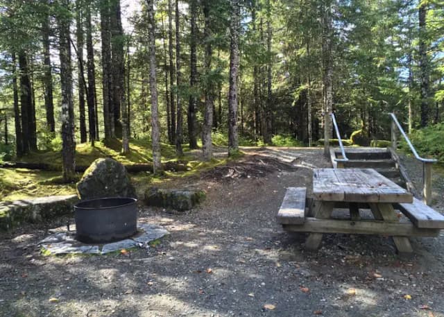 Site 002 at Mendenhall Campground