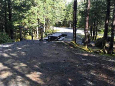 Site 002 at Mendenhall Campground