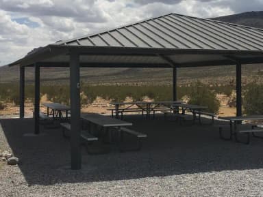 Group Shelter C-Road Runner