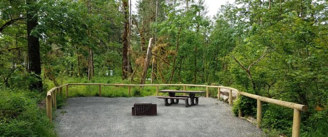 Camp loop Campsite 2