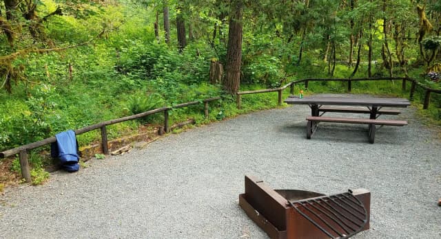 Camp loop Campsite 3