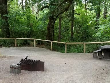 Camp loop Campsite 6