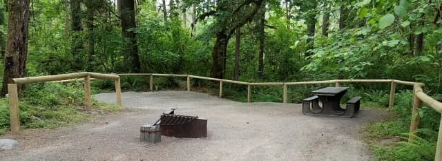 Camp loop Campsite 6