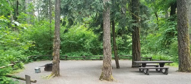 Camp loop Campsite 7 B