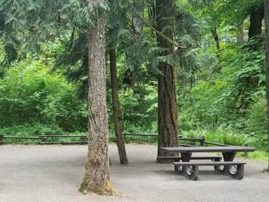 Camp loop Campsite 7 B