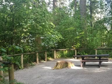 Camp loop Campsite 8