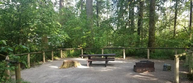 Camp loop Campsite 8