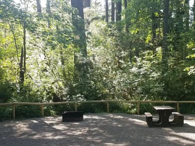 Camp loop Campsite 9