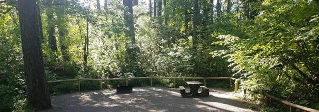 Camp loop Campsite 9