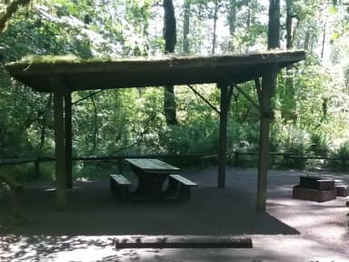 Camp loop Campsite 10