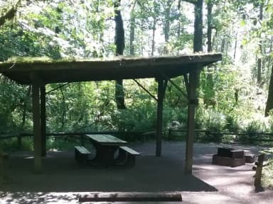 Camp loop Campsite 10