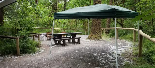 Camp loop Campsite 11