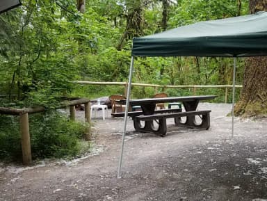 Camp loop Campsite 11