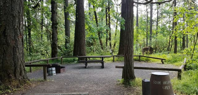 Camp loop Campsite 12