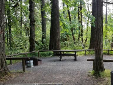 Camp loop Campsite 12