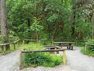 Camp loop Campsite 13 A