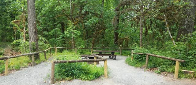 Camp loop Campsite 13 A