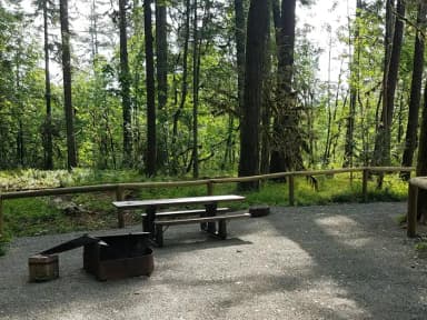 Camp loop Campsite 14