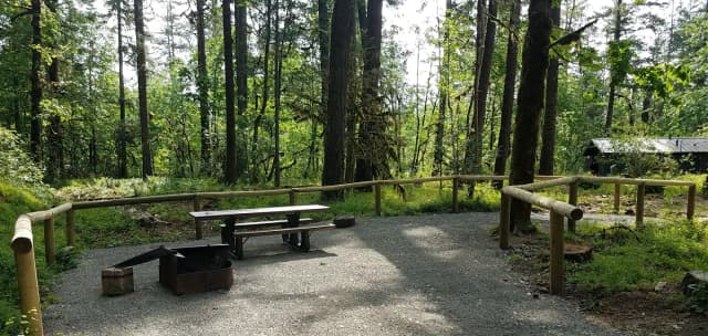 Camp loop Campsite 14