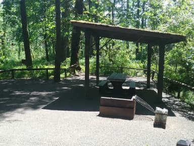 Camp loop Campsite 15 A