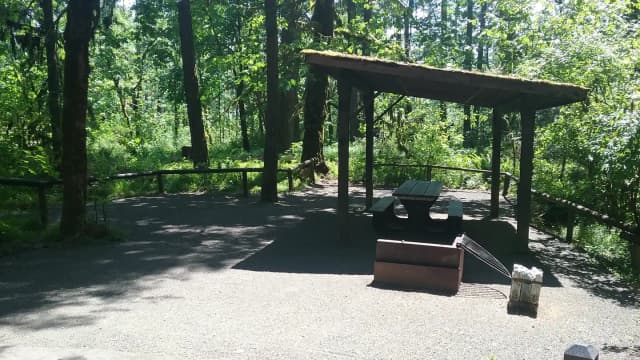 Camp loop Campsite 15 A