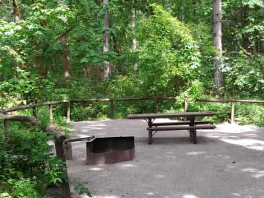 Camp loop Campsite 15 B