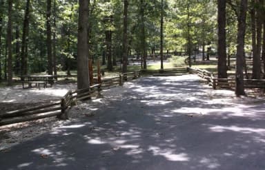 Loop A · Site 006 at Cobb Ridge