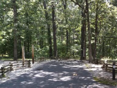 Loop A · Site 008 at Cobb Ridge