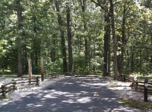 Loop A · Site 008 at Cobb Ridge