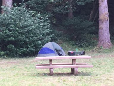 Group campsite: maximum of 25 people with 4 passenger vehicles or 2 travel trailers or motorhomes.