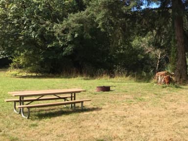 Group campsite: maximum of 25 people with 4 passenger vehicles or 2 travel trailers or motorhomes.
