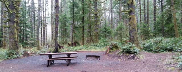 campsite 14