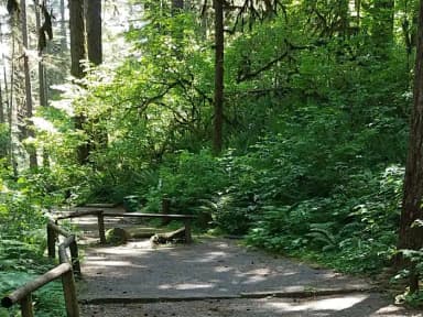 Campsite 10, Loop B