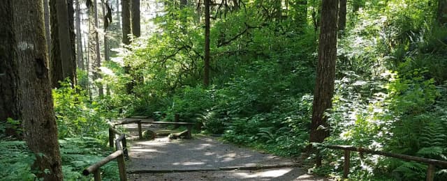 Campsite 10, Loop B
