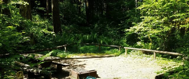 Campsite 11, Loop B