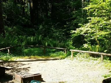 Campsite 11, Loop B