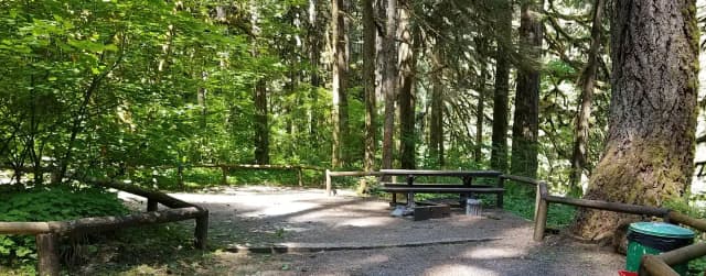 Campsite 12, Loop B