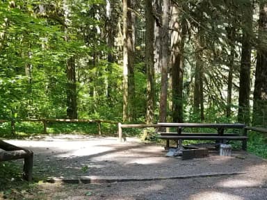 Campsite 12, Loop B