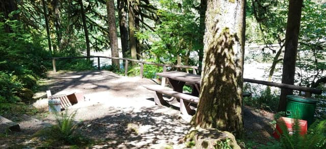 Campsite 13, Loop B