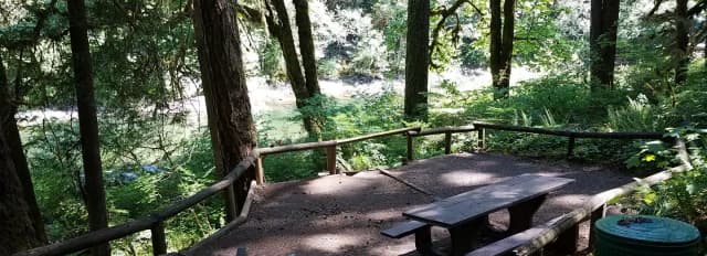 Campsite 14, Loop B