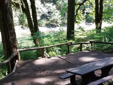 Campsite 14, Loop B