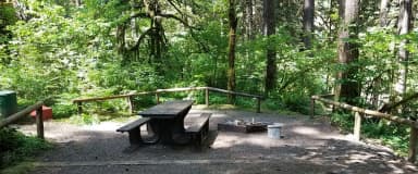 Site 015, Campsite 15, Loop B