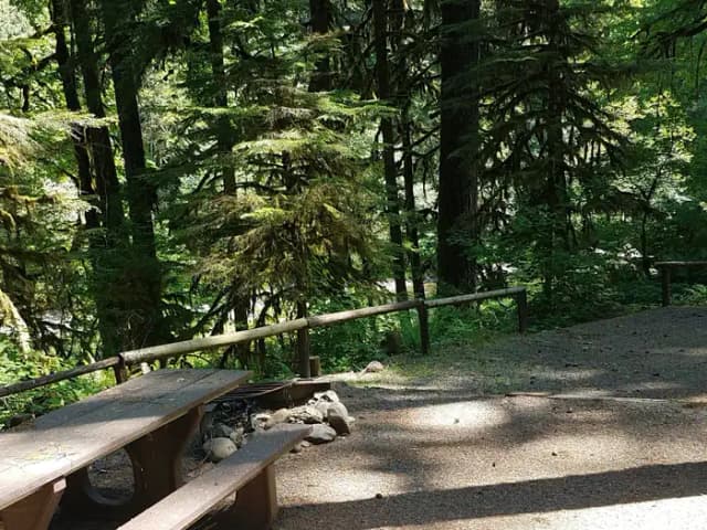 Campsite 16, Loop B