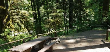 Campsite 16, Loop B angle 1