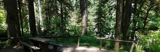 Campsite 17, Loop B
