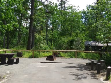 Camp loop Campsite 16